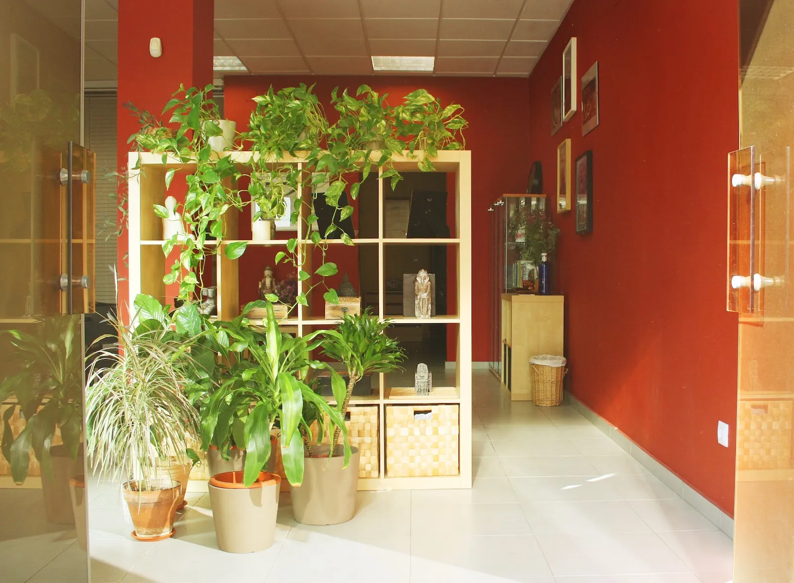 Centro de Meditación - CIAG - Sevilla — meditación-studio en Sevilla — 4