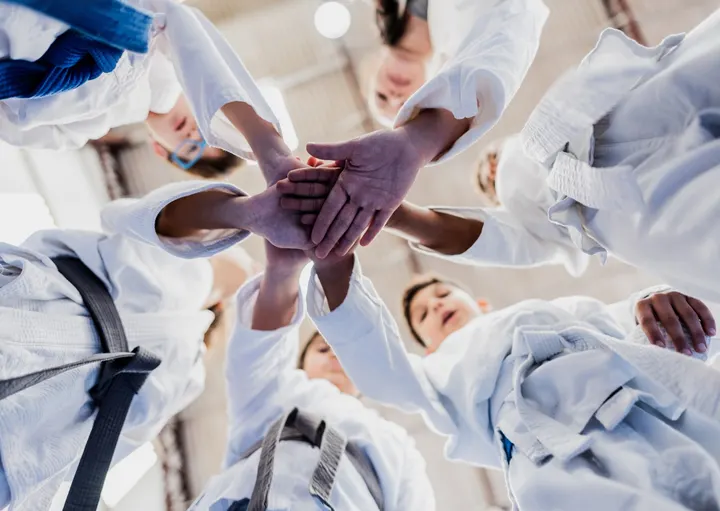 Judo Club Capelletti — arti marziali-studio a Zona Sud, Brescia — 2