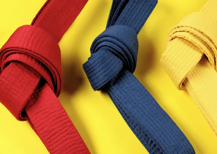 Judo Club Capelletti — arti marziali-studio a Brescia — 3