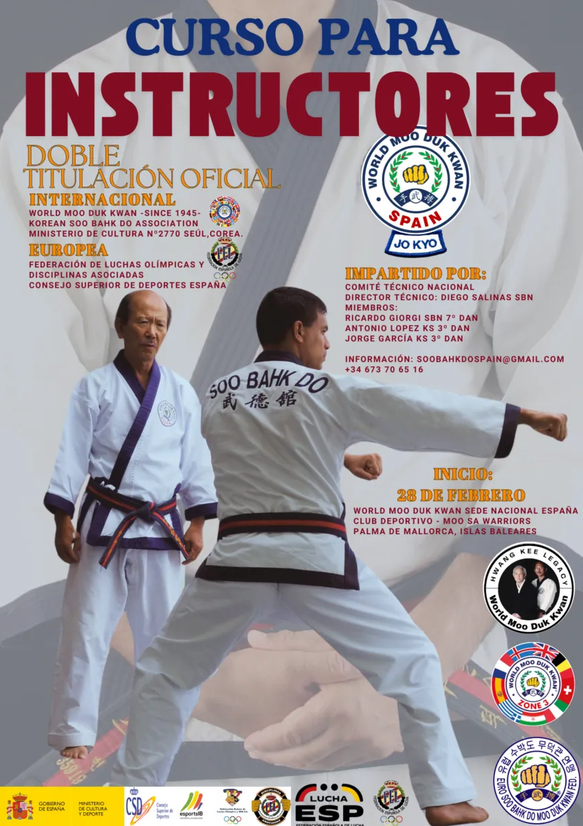 Asoc. Española Y Balear De Artes Marciales Soo Bahk Do — artes marciales-studio en Palma — 3