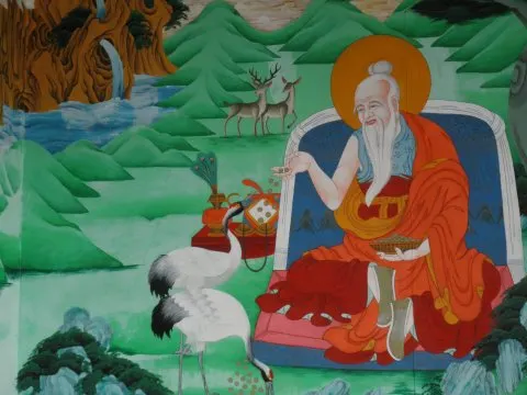 Yoga Kalpataru — yoga-studio in Schollevaar, Capelle aan den IJssel — 3