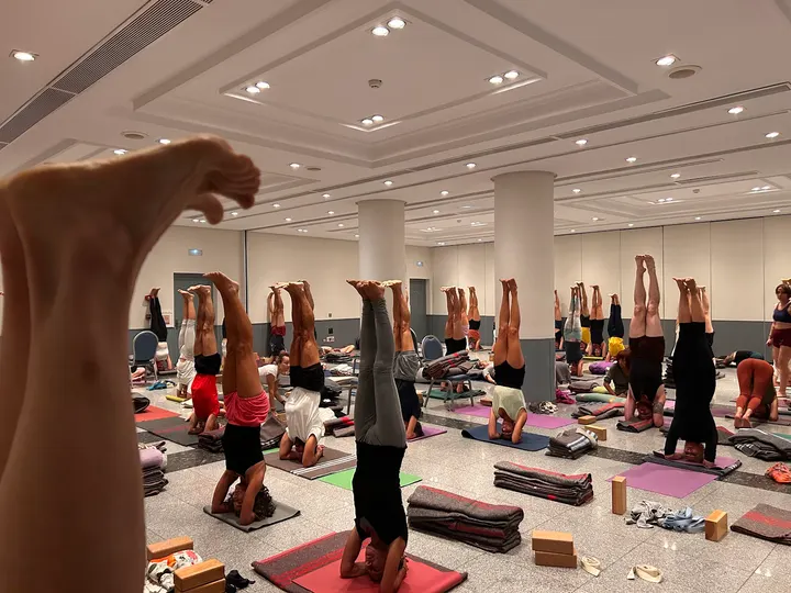 Centro De Yoga Iyengar — yoga-studio en León — 4