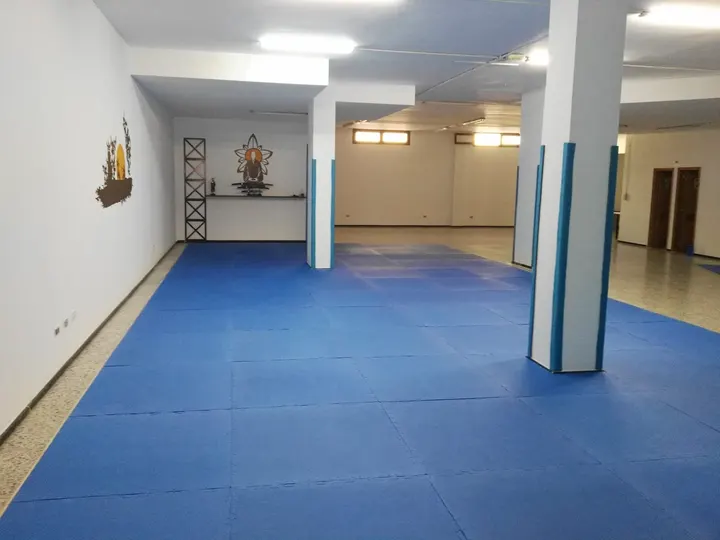 Asociación Canaria De Artes Marciales — artes marciales-studio en Gáldar — 2