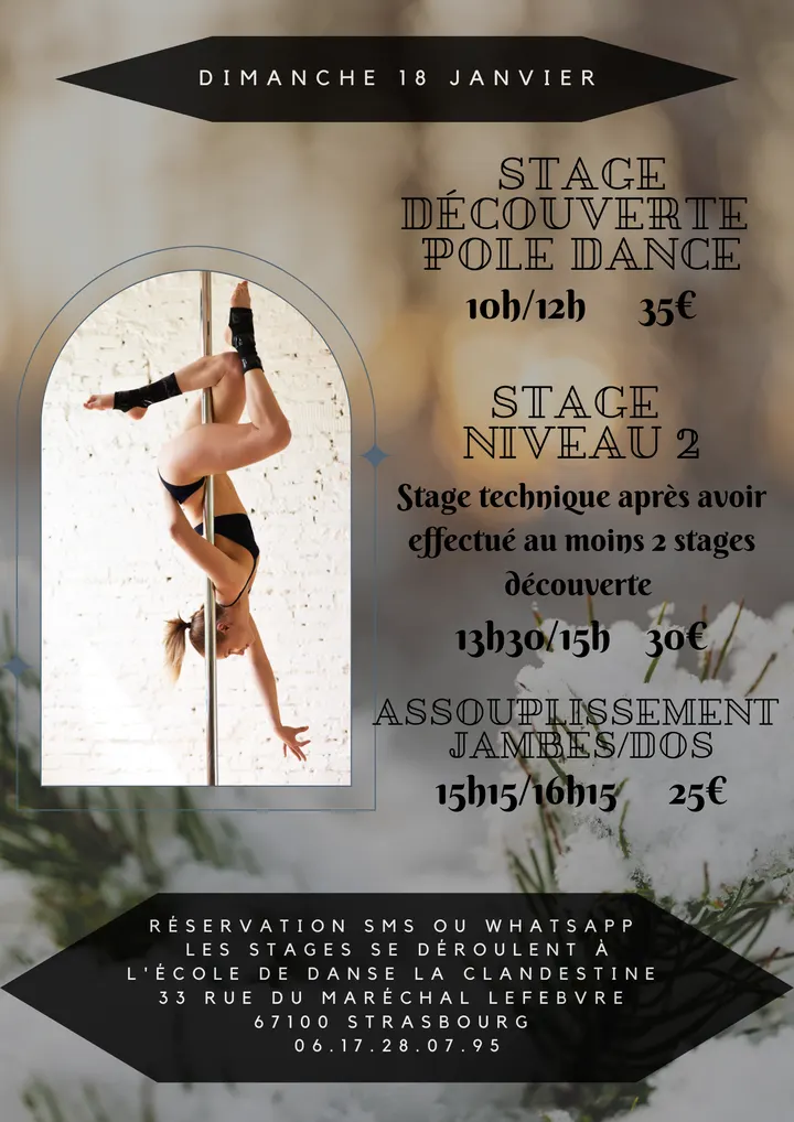 POLE DANCE STRASBOURG — pole fitness-studio à Strasbourg — 5