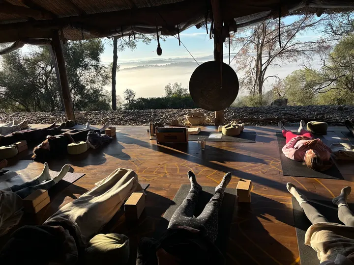 W.H.Y. Retreats — yoga-studio in Harvestehude, Hamburg — 3