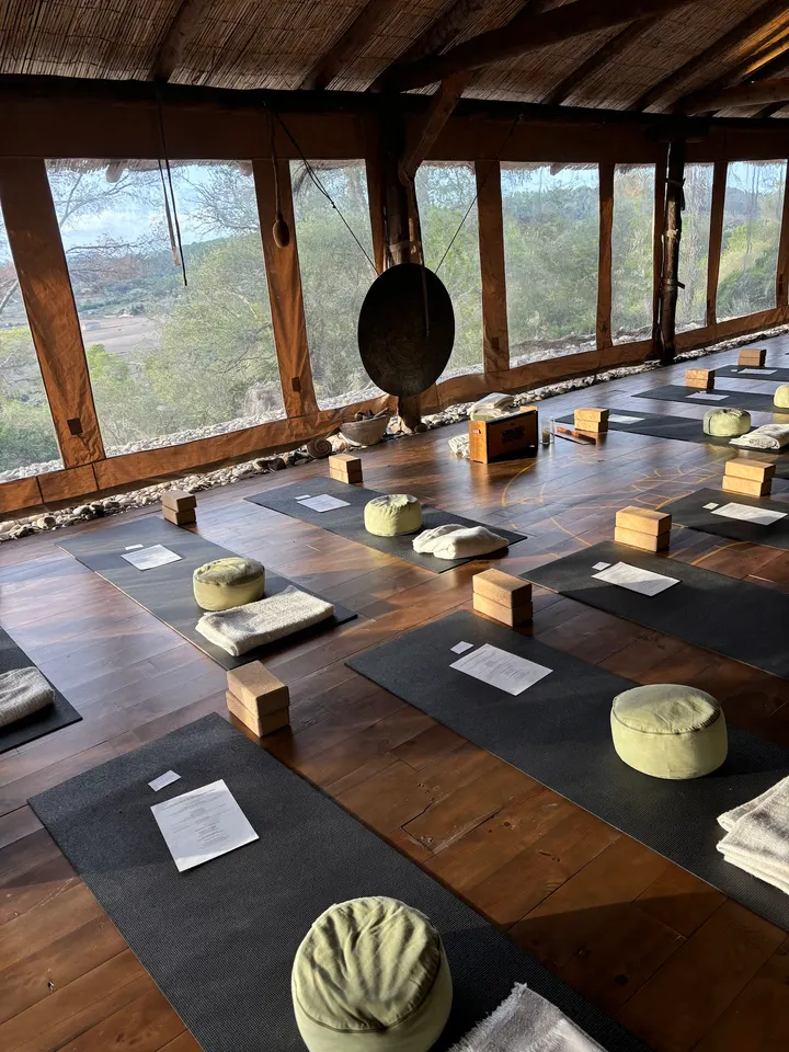 W.H.Y. Retreats — yoga-studio in Hamburg — 3