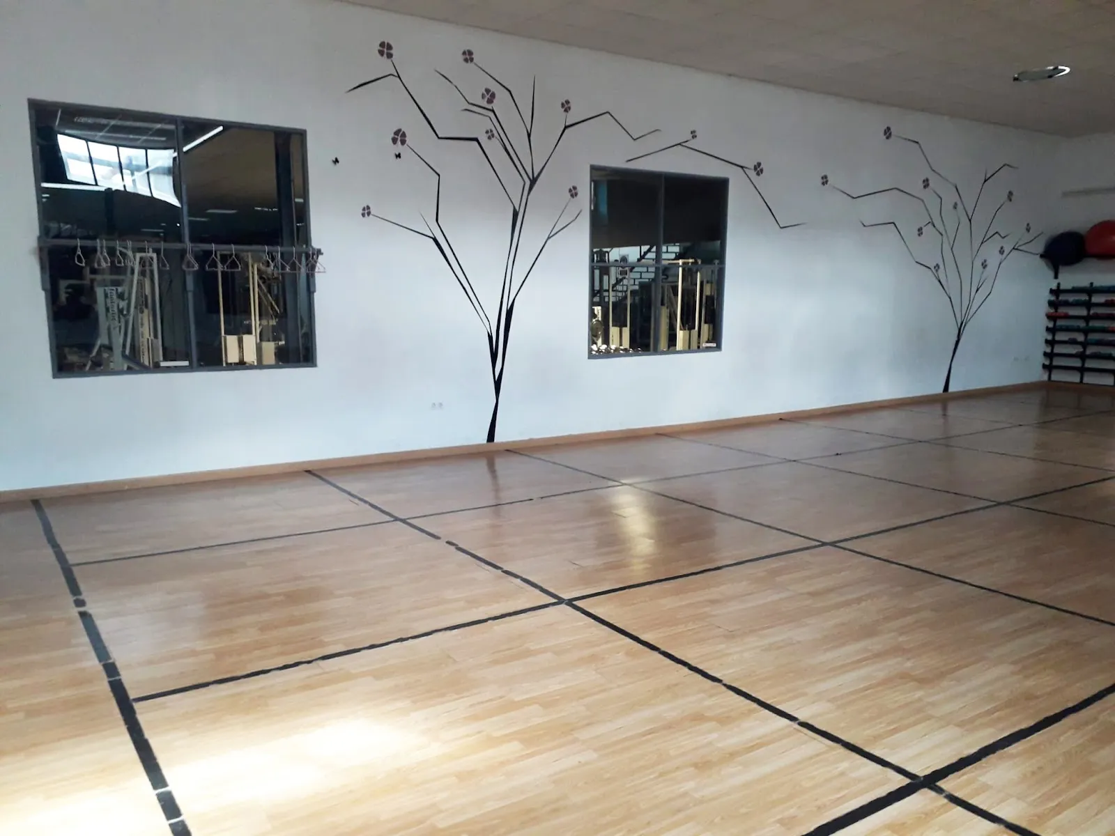 Gimnasio Body Builder Alcázar De San Juan — fuerza-studio en Alcázar de San Juan — 3