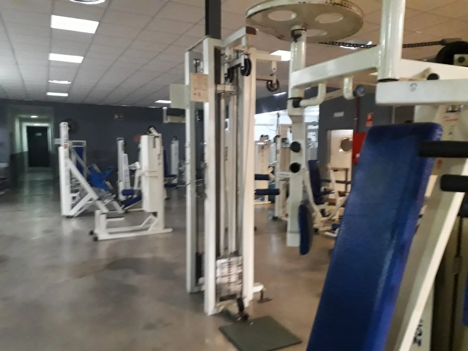 Gimnasio Body Builder Alcázar De San Juan — fuerza-studio en Alcázar de San Juan — 3