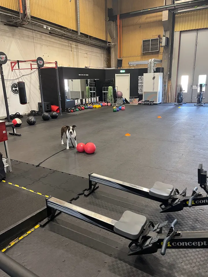 Fight Fit Athletics Kristinehamn — funktionell träning-studio i Kristinehamn — 4