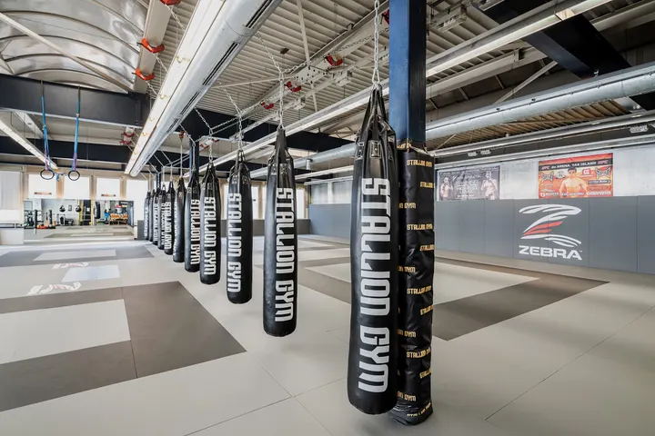 Stallion Gym — fitnessstudio in Feuerbach-Ost, Stuttgart — 2