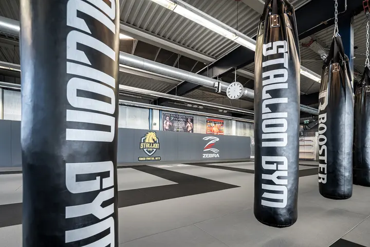 Stallion Gym — fitnessstudio in Stuttgart — 4