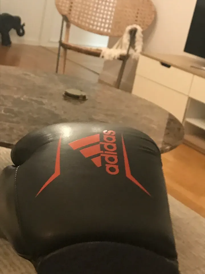 Höllvikens Boxningsklubb — kampsport-studio i Malmö — 5