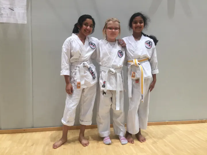 Bushido Karatekoulu — kamppailulajit-studio – Talvikangas, Oulu — 2