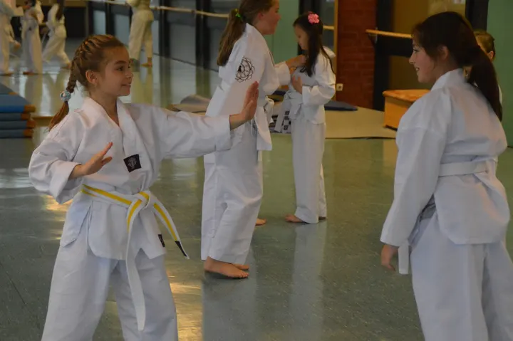 Kampfsportschule Domin Hildesheim — kampfsport-studio in Moritzberg, Hildesheim — 2