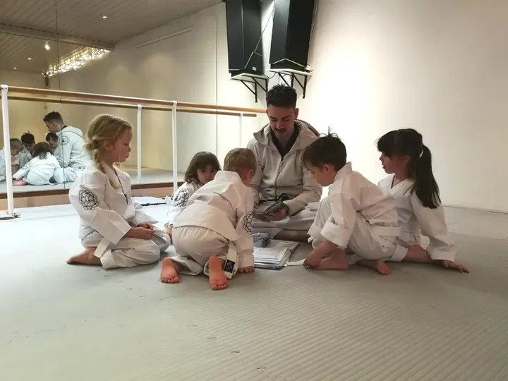 Kampfsportschule Domin Hildesheim — kampfsport-studio in Hildesheim — 3