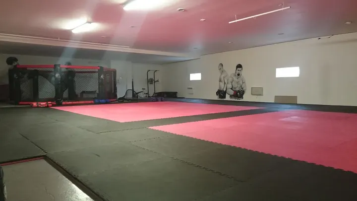 Lyon Mma Center — mma-studio à Grandclément, Villeurbanne — 2