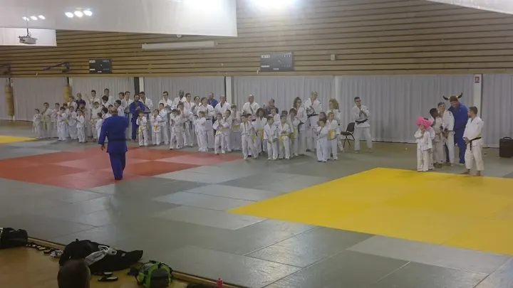ESMGO Judo — arts martiaux-studio à Gonfreville-l'Orcher — 2