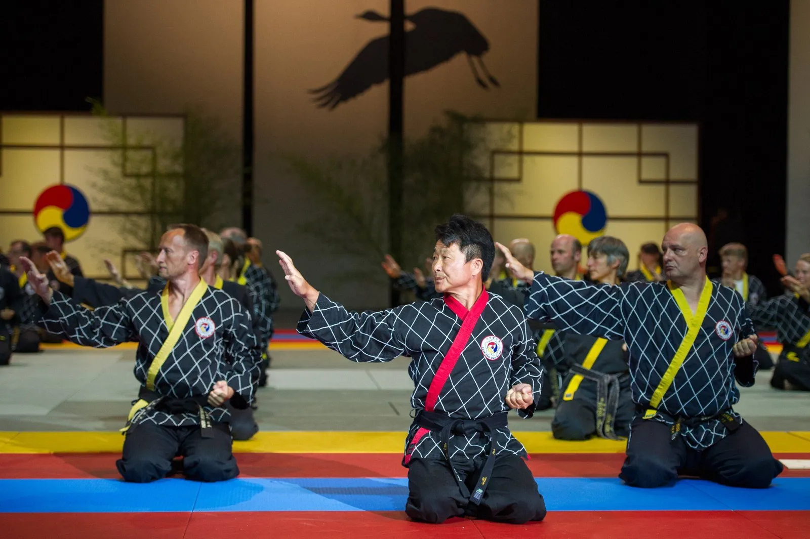 Hapkido Zentrum — kampfsport-studio in Darmstadt-Nord, Darmstadt — 2