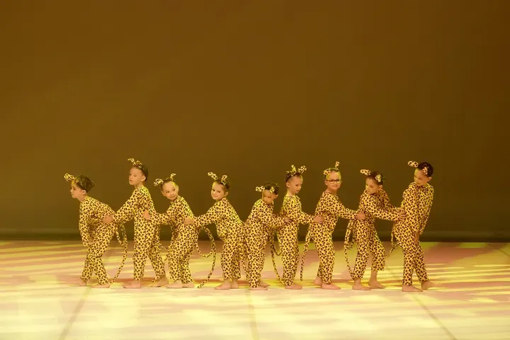 Ecole de Danse Katell Lachiche — danse-studio à Kerbiniou, Guérande — 2