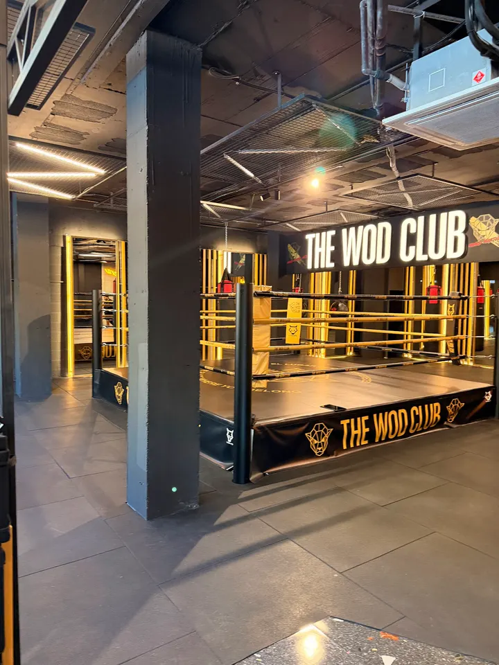 The Wod Club Madrid Río — MMA en Arganzuela, Madrid