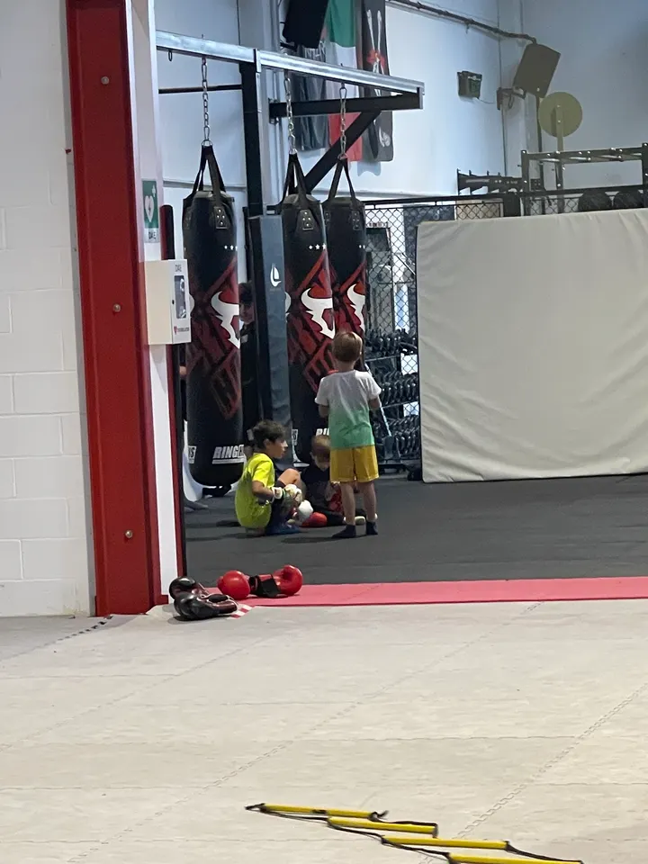 Seconds Out — mma-studio a Vigatto, Parma — 2