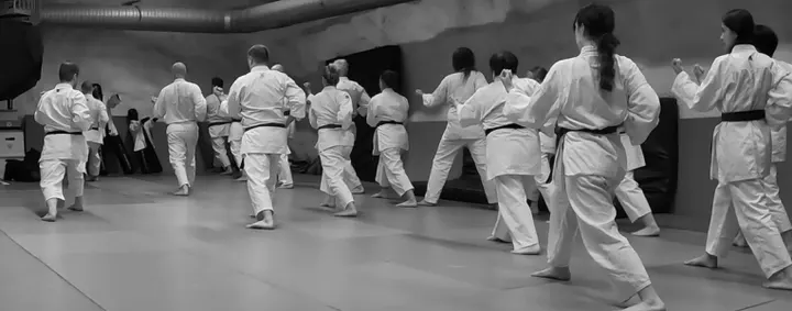 Shuyokai Shotokan Karate-Do ry — kamppailulajit-studio – Kirkkonummi — 4