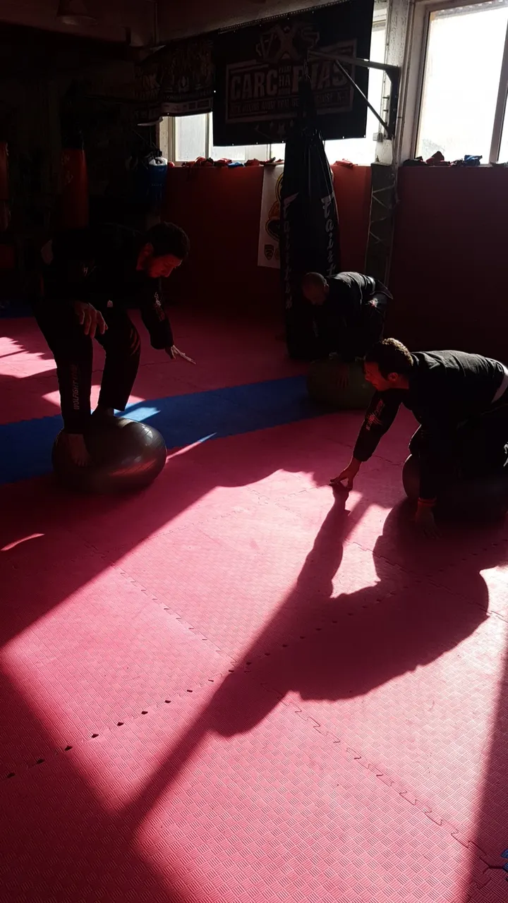 Carcharias Boxing — arts martiaux-studio à Perpignan — 3