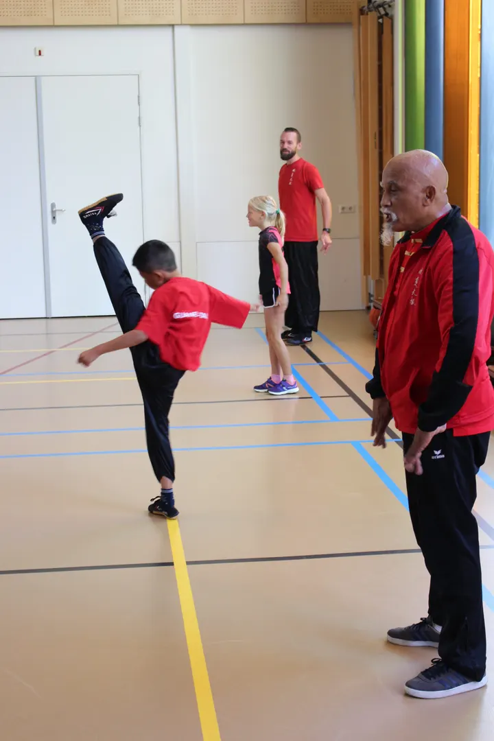 Gūanfù Taiji — vechtsport-studio in Alblasserdam — 3