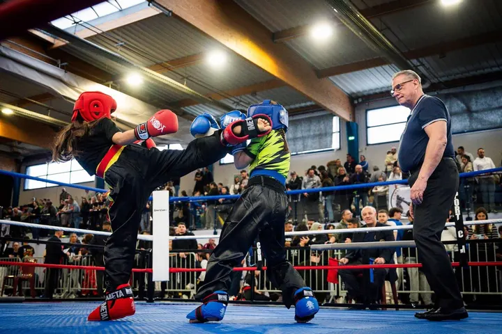 Provence Elite Combat Aix La Duranne — MMA à Le Petit Moulin, Aix-en-Provence