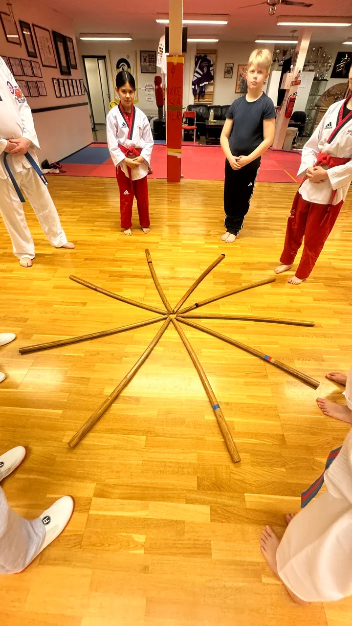 Lillesand Taekwondo Klubb — martial arts-studio i Furulia, Lillesand