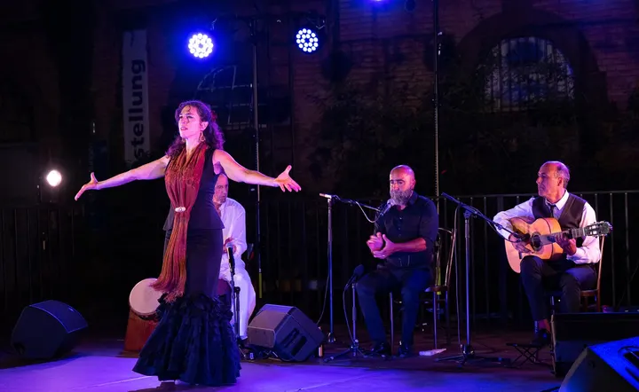 Flamenco Schule Bustani — tanz-studio in Kernstadt, Heilbronn — 3