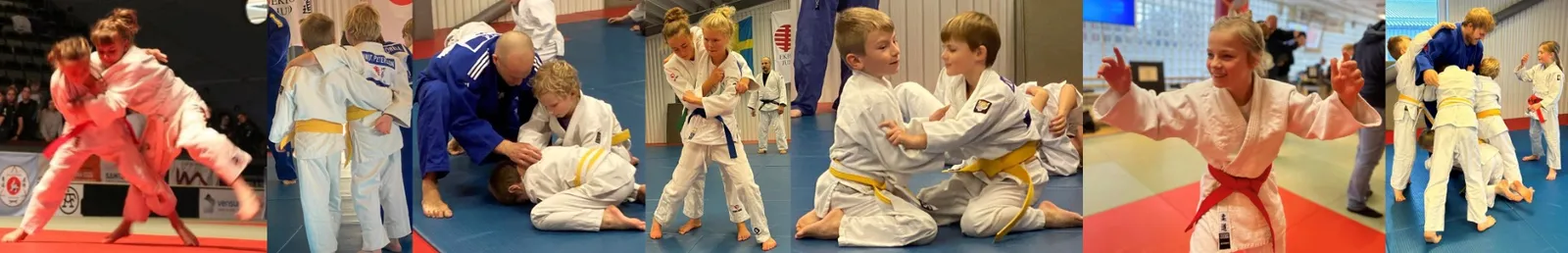 Ekerö Judo — kampsport-studio i Ekerö — bild 2