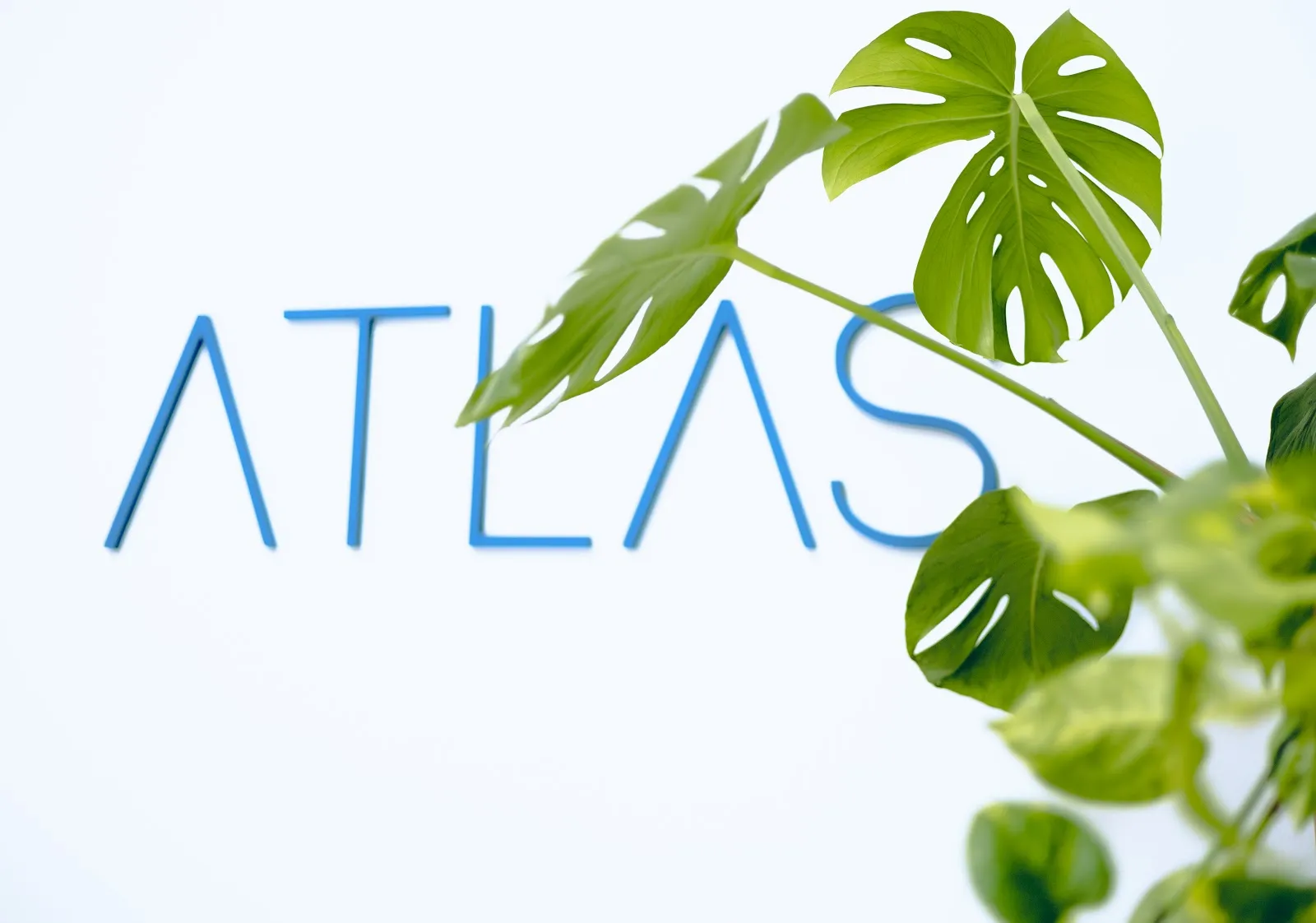 ATLAS Sport & Health — entrenamiento personal-studio en Las Albarizas, Marbella — 2