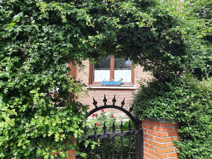 Anayoga — yoga-studio en Algorta, Bilbao — 2