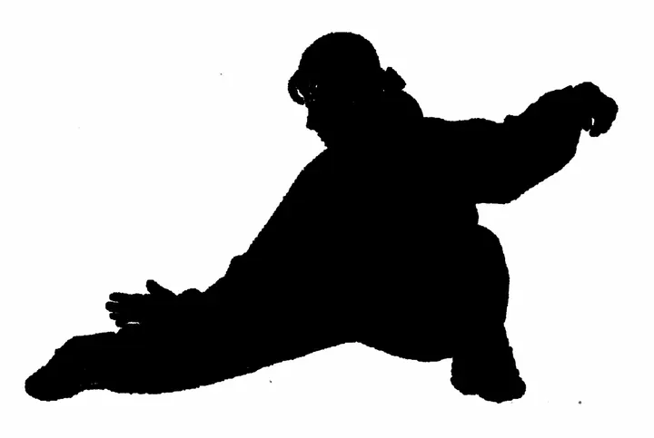 Shaolin Si Artes Marciais Chinesas — artes marciais-studio em Angra do Heroísmo — 3