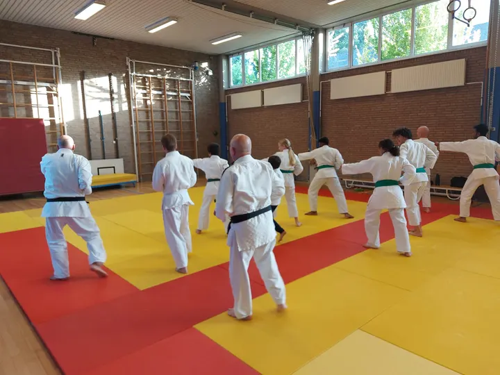 Jiu-Jitsu Vereniging Yamamoto — Vechtsport in Brusselsepoort, Maastricht