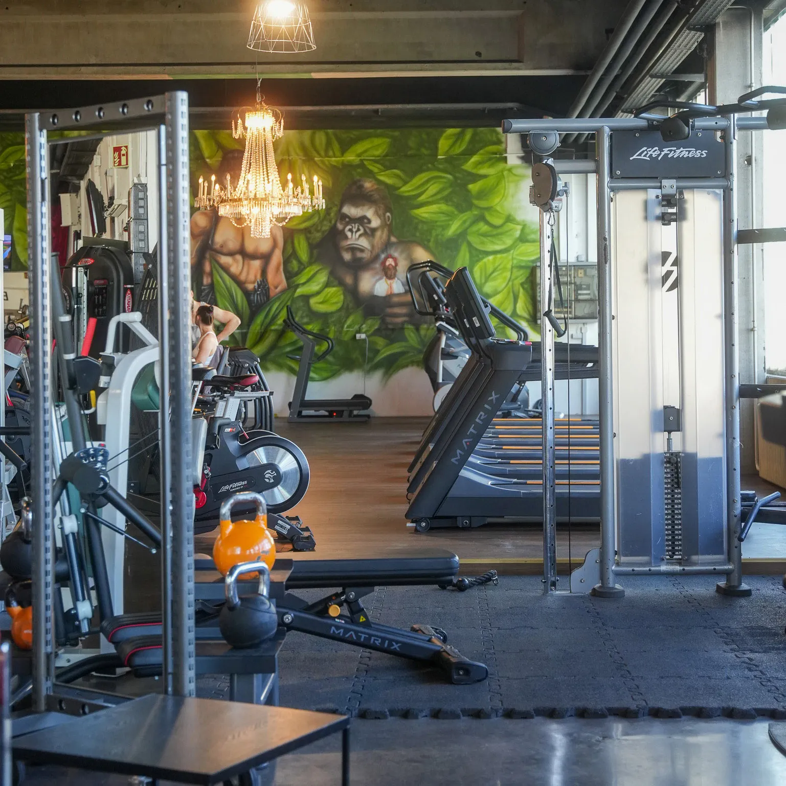 Shapeshifters Gym Blaue Brücke — träningsstudio i Stuttgart — 2