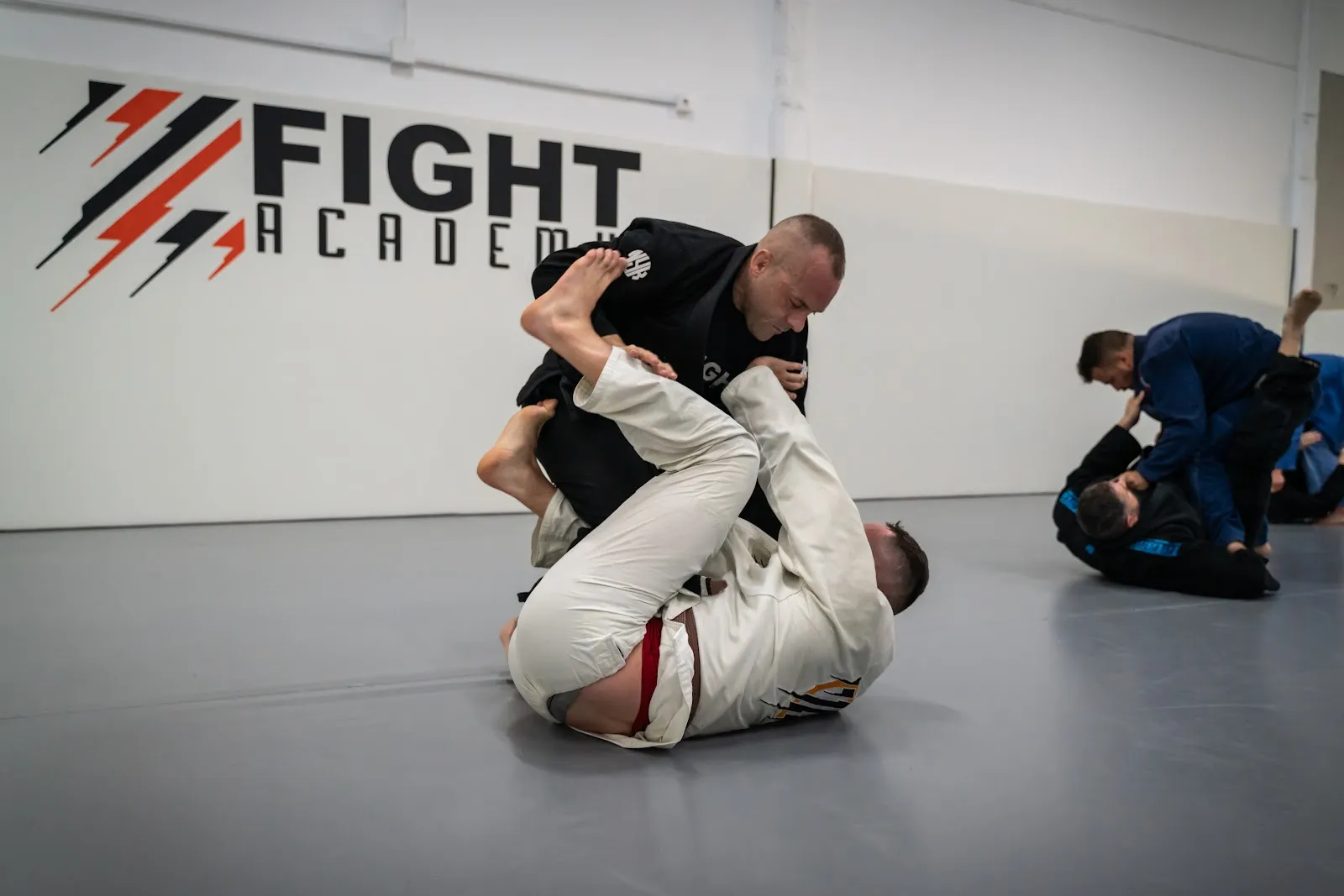 Z Fight Academy — mma-studio en Palmera — 2