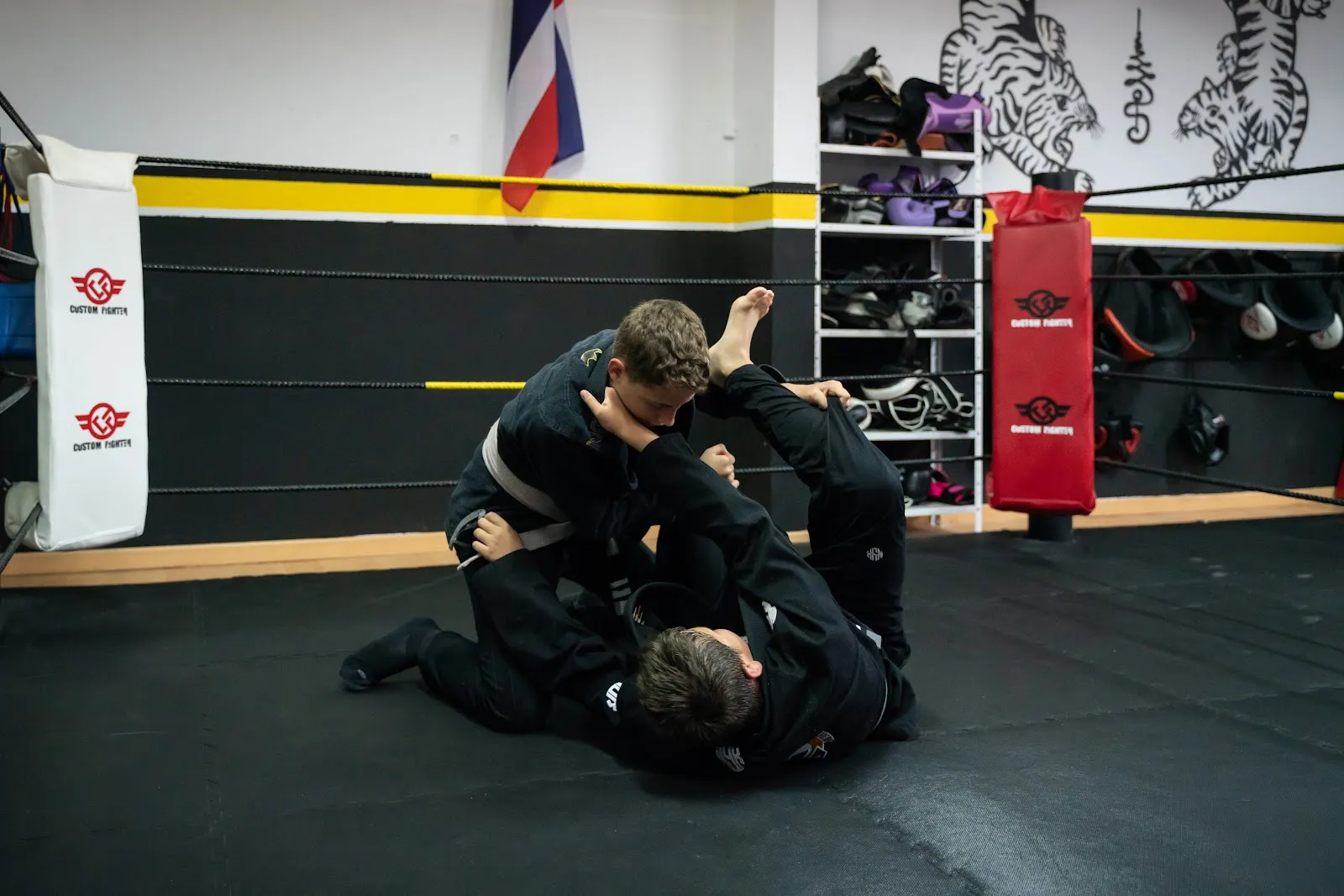 Z Fight Academy — mma-studio en Palmera — 4
