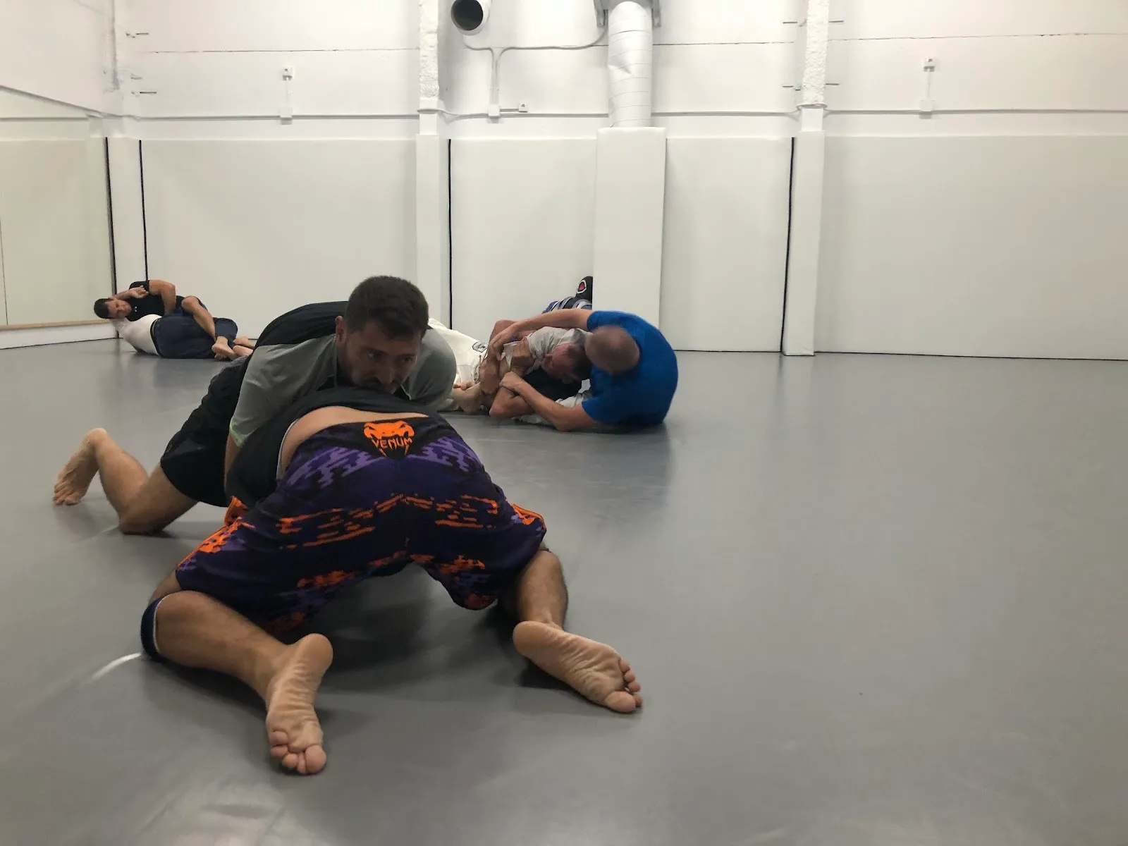 Z Fight Academy — mma-studio en Palmera — 5