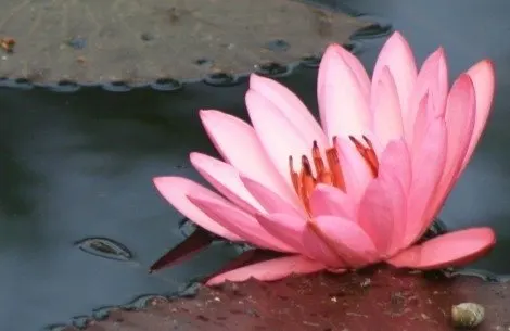 Raus Yoga — yoga-studio i Østerås — 5
