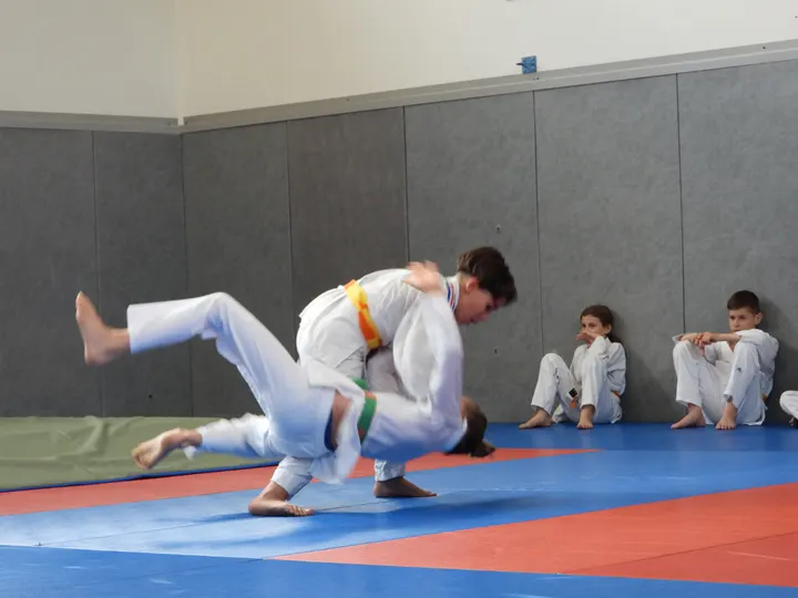 Seyssinet Judo — arts martiaux-studio à Seyssinet-Pariset — 4