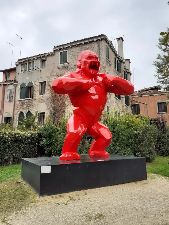 Gym in Center srl ssd — palestre-studio a Padova — 3