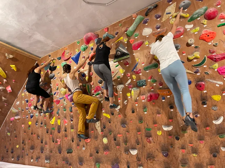 Boulder Moss Club de Escalada — escalada-studio en Granda de Riba, Gijón — 3