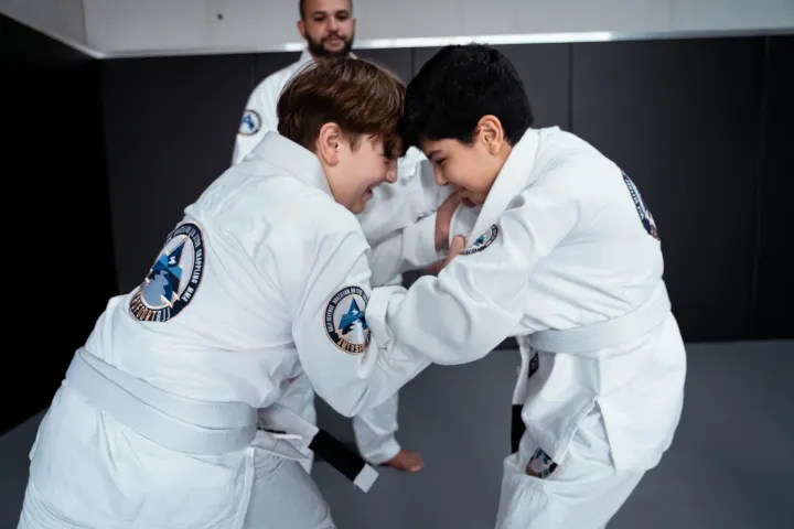 Amersfoort BJJ — vechtsport-studio in Waddeneilandenbuurt, Amersfoort — 3