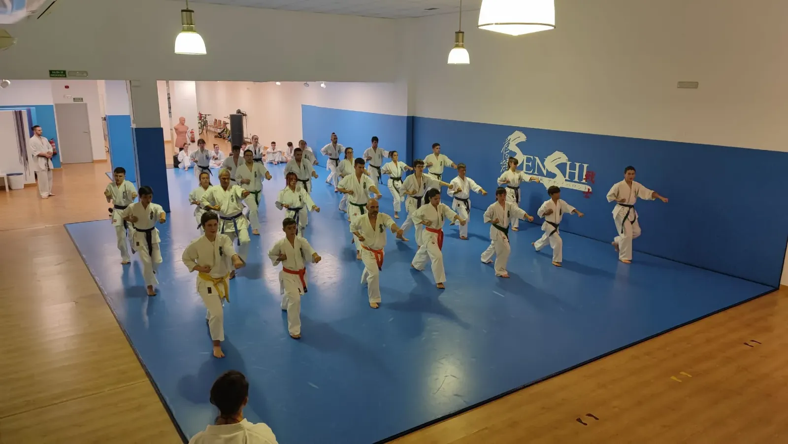 Dojo Senshi — kickboxning-studio i Coronación, Vitoria-Gasteiz — bild 2