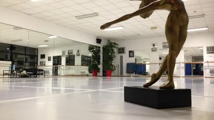 Studio de danse Zlatiew — danse-studio à Nantes — 3