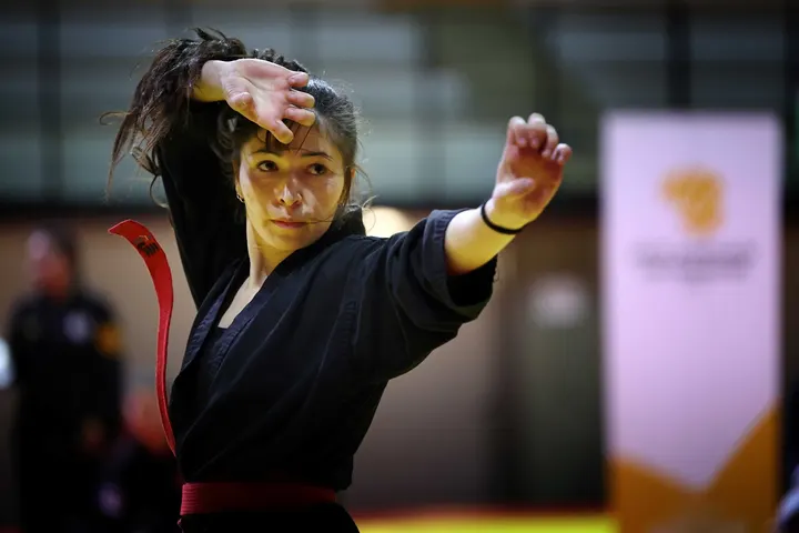 Long Son Club Martiaux Boxe Vietnamienne — Arts martiaux à Beaulieu, Rennes