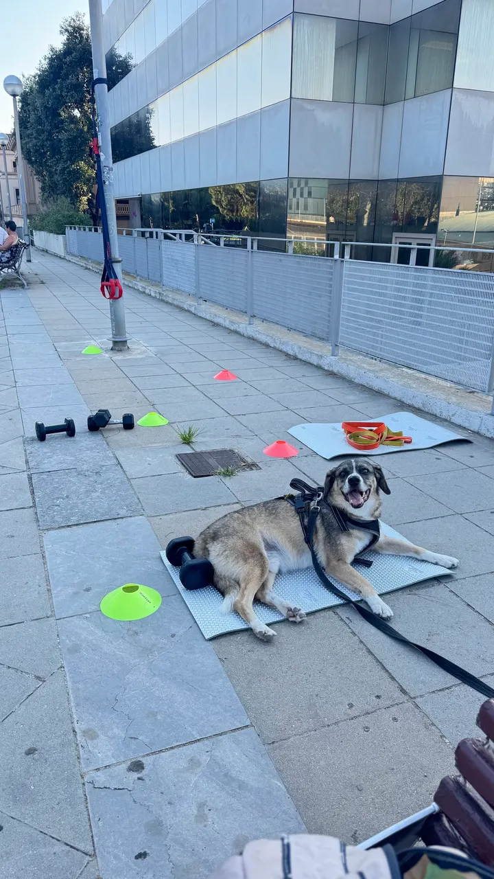ACTIVA bcn — entrenamiento funcional-studio en Barcelona — 3
