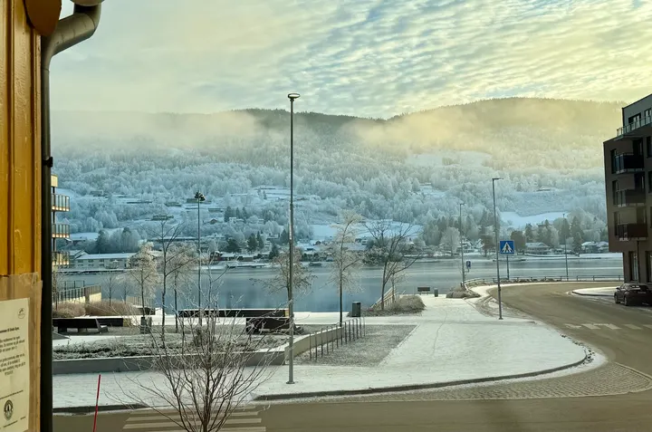 Endo Gym — treningsstudio i Liengjordet, Vikersund — 2